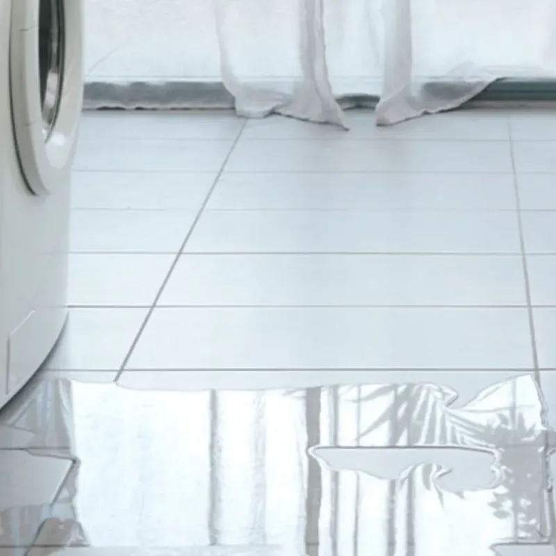 Appliance Leak Cleanup in Chesapeake, WV