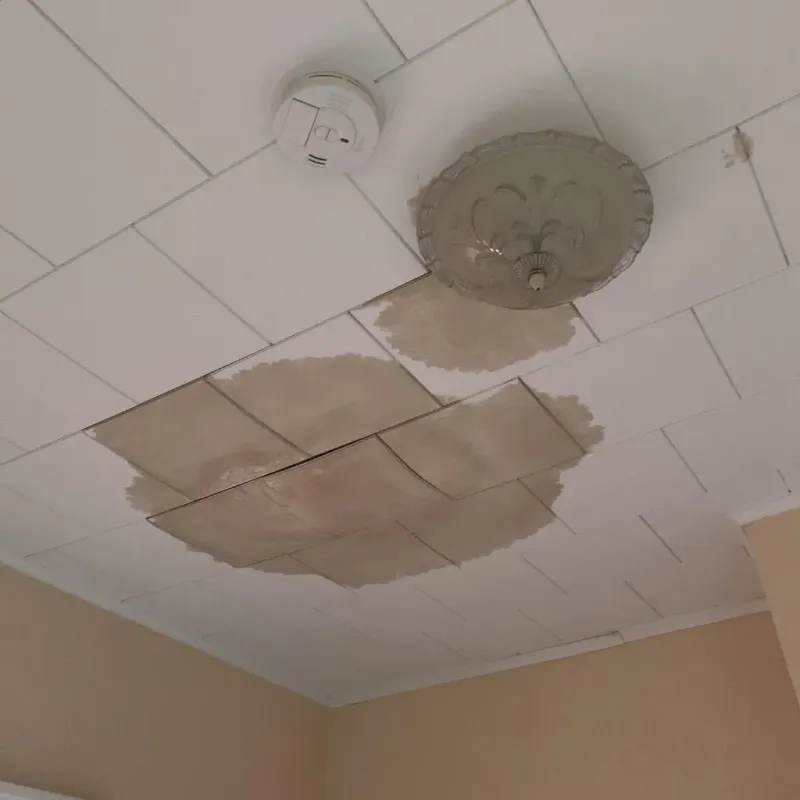 Ceiling Water Damage Repair in Chesapeake, WV
