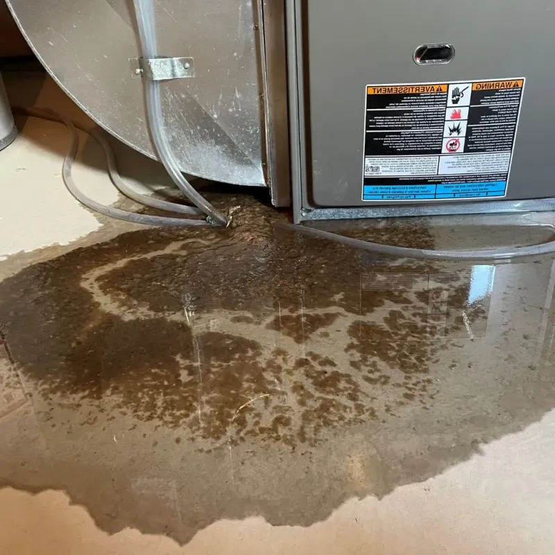 Pipe Burst and Leak Restoration in Chesapeake, WV
