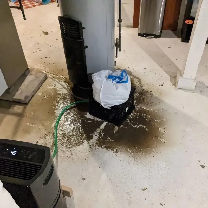Sewage Backup Cleanup Service in Chesapeake, WV